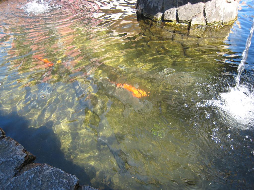 Foto de Losar de la Vera (Cáceres), España