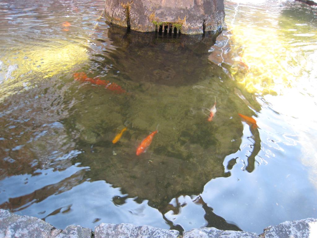Foto de Losar de la Vera (Cáceres), España