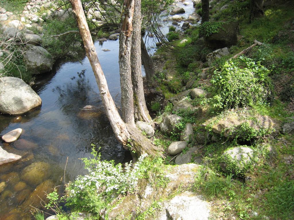 Foto de Losar de la Vera (Cáceres), España