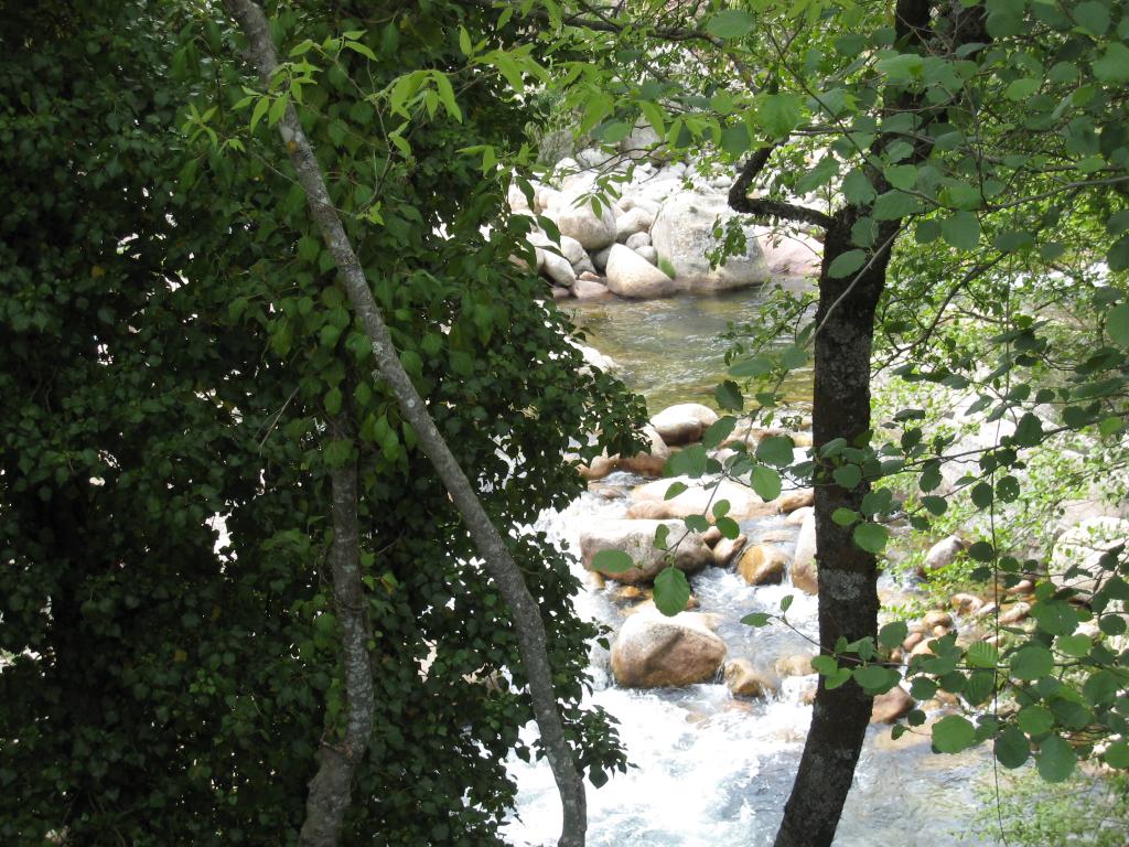Foto de Losar de la Vera (Cáceres), España