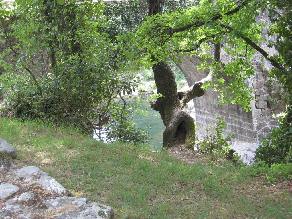Foto de Losar de la Vera (Cáceres), España