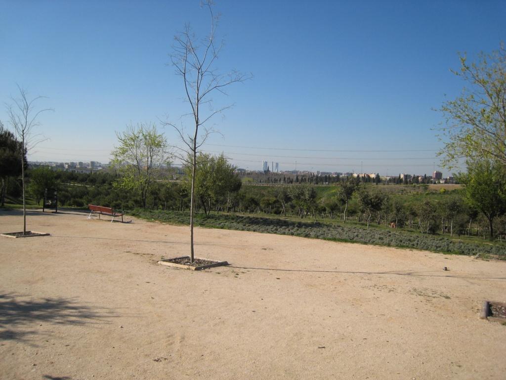 Foto de Madrid (Comunidad de Madrid), España