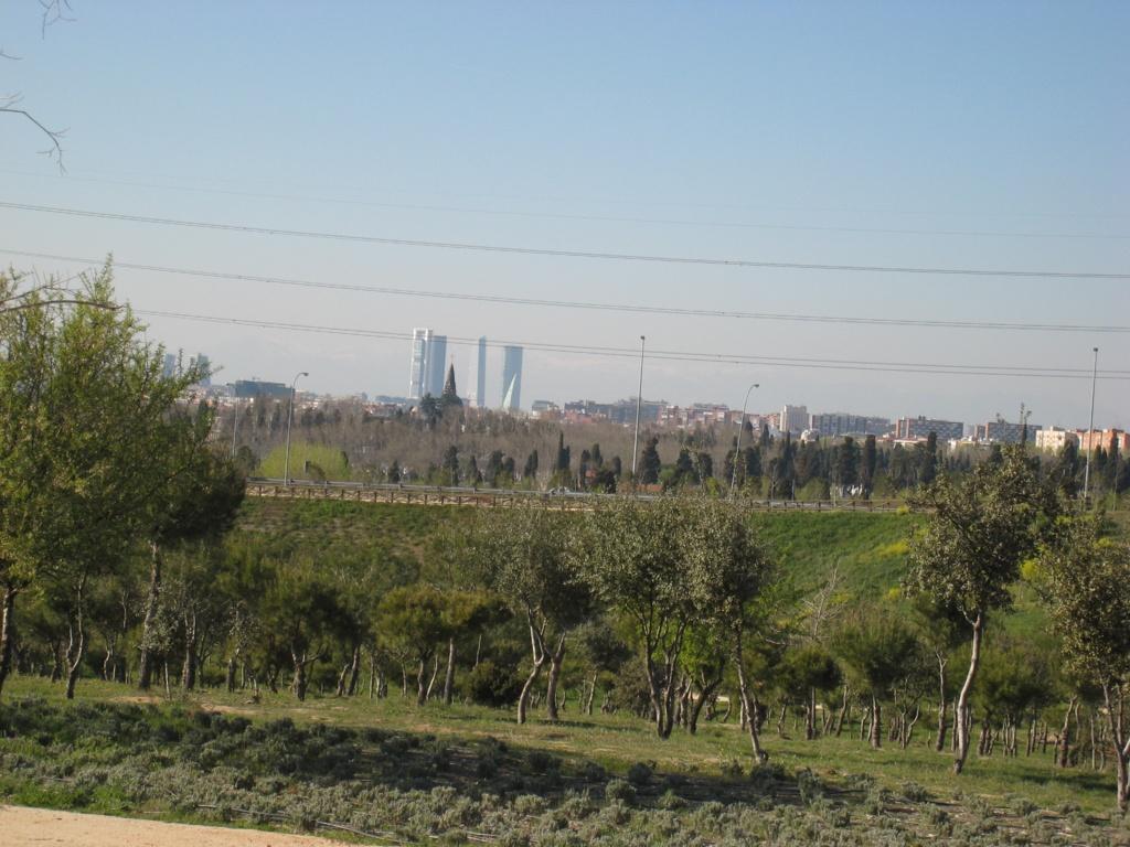 Foto de Madrid (Comunidad de Madrid), España