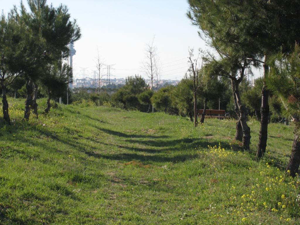 Foto de Madrid (Comunidad de Madrid), España