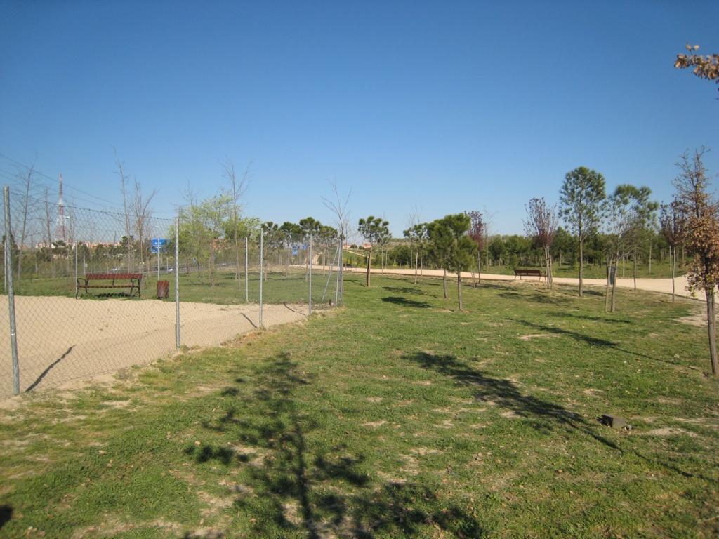 Foto de Madrid (Comunidad de Madrid), España