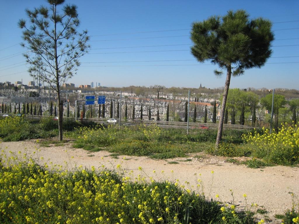 Foto de Madrid (Comunidad de Madrid), España