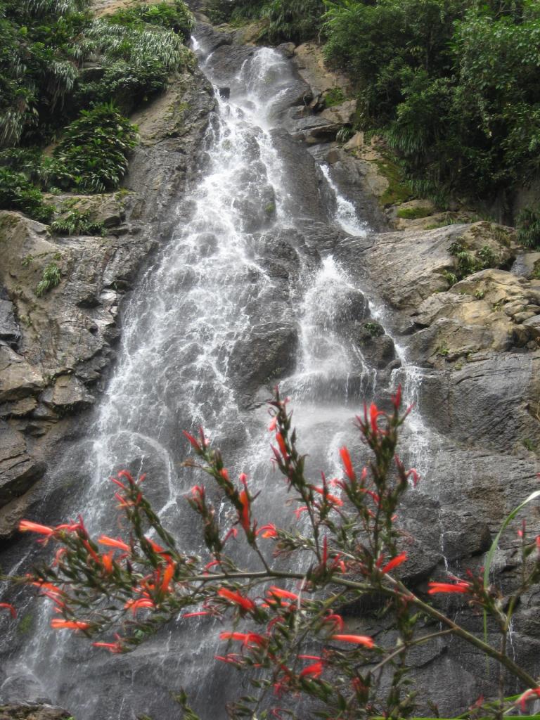 Foto de Chanchamayo, Perú