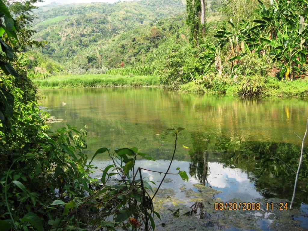 Foto de Chanchamayo, Perú