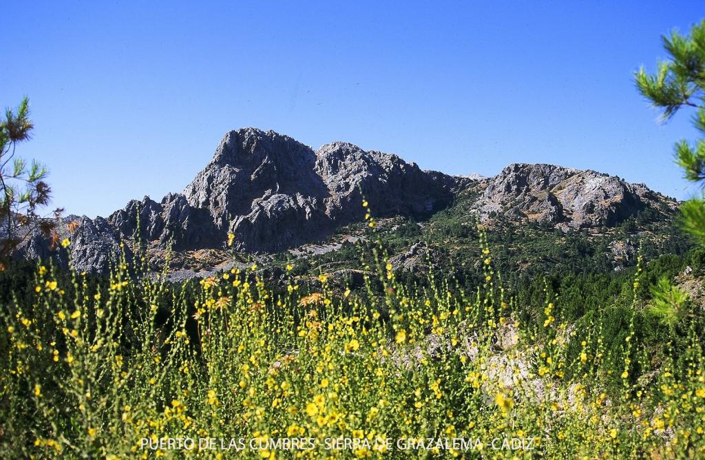 Foto de Grazalema (Cádiz), España