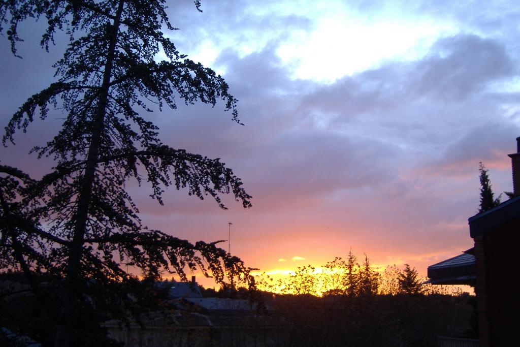 Foto de Colmenarejo (Madrid), España