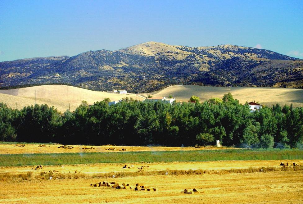 Foto de Ermita Nueva (Jaén), España