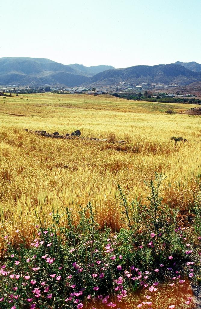 Foto de Cabo de Gata (Almería), España