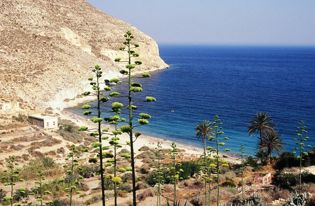 Foto de Cabo de Gata (Castelló), España