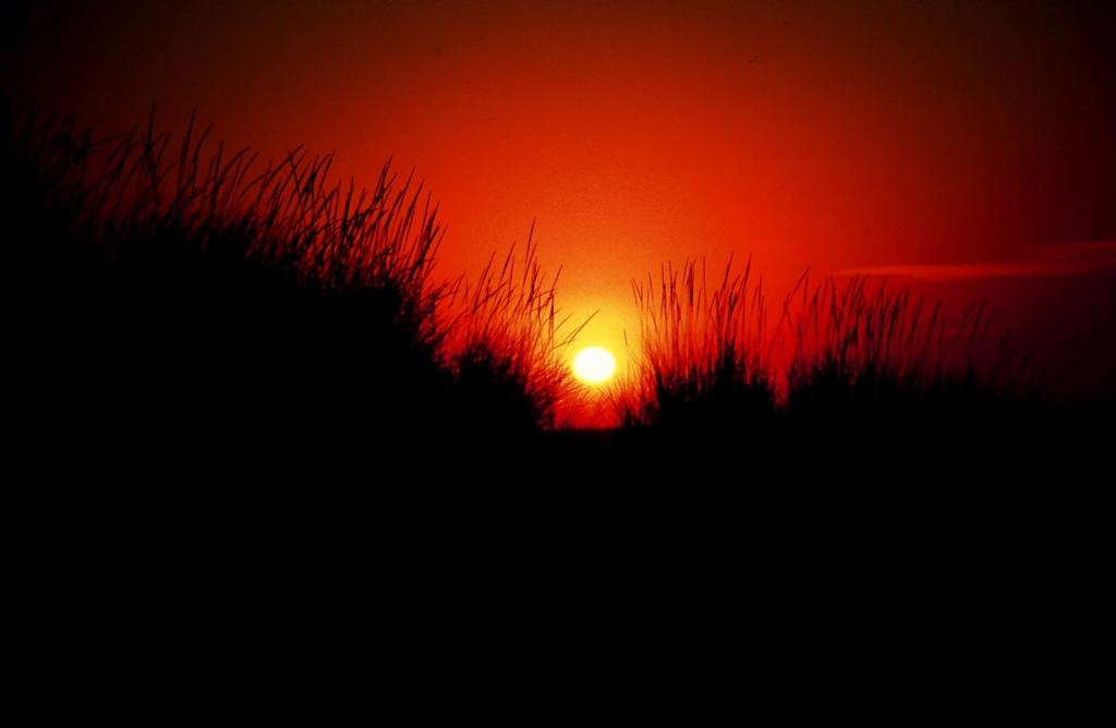 Foto de Cabo de Gata (Almería), España