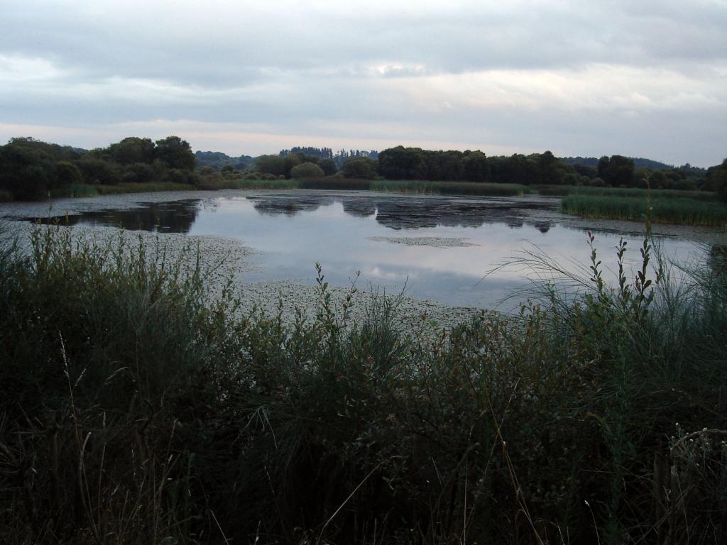 Foto de Cospeito (Lugo), España