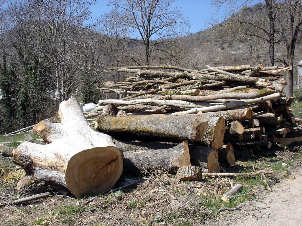 Foto de Vidrà (Girona), España