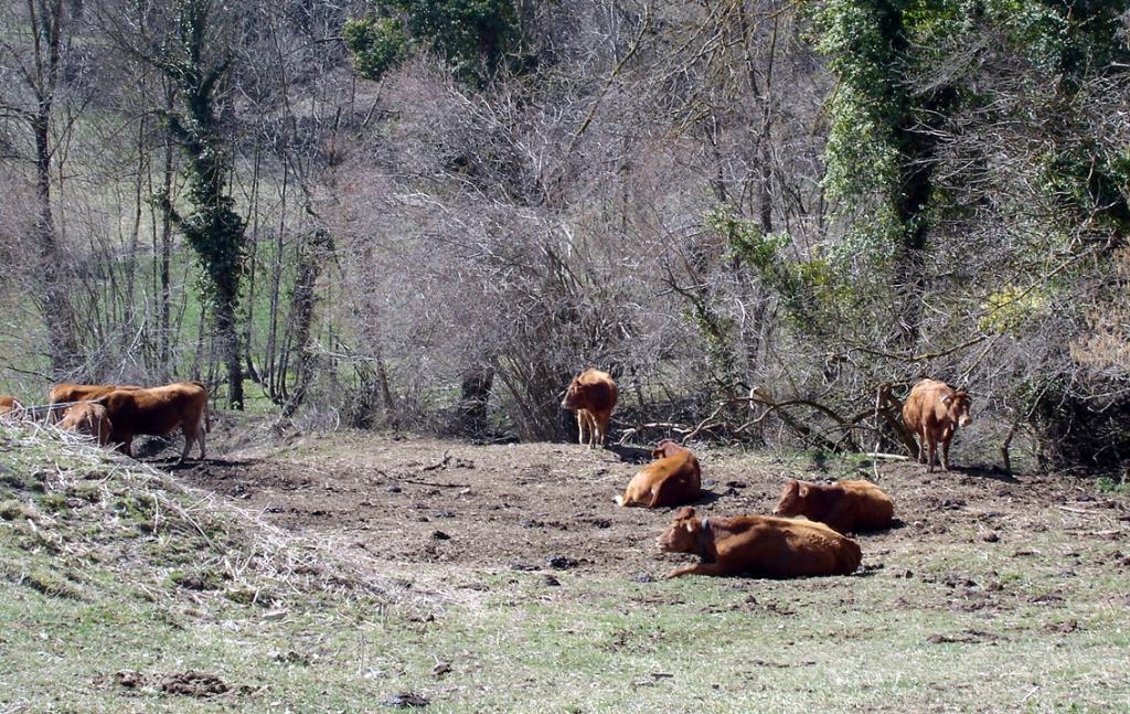 Foto de Vidrà (Girona), España