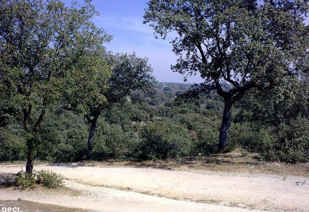 Foto de Boadilla del Monte (Madrid), España