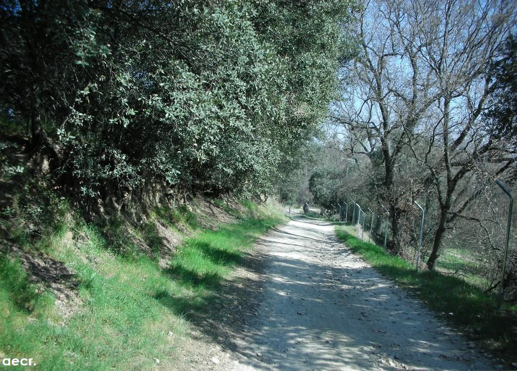 Foto de Villanueva de la Cañada (Madrid), España