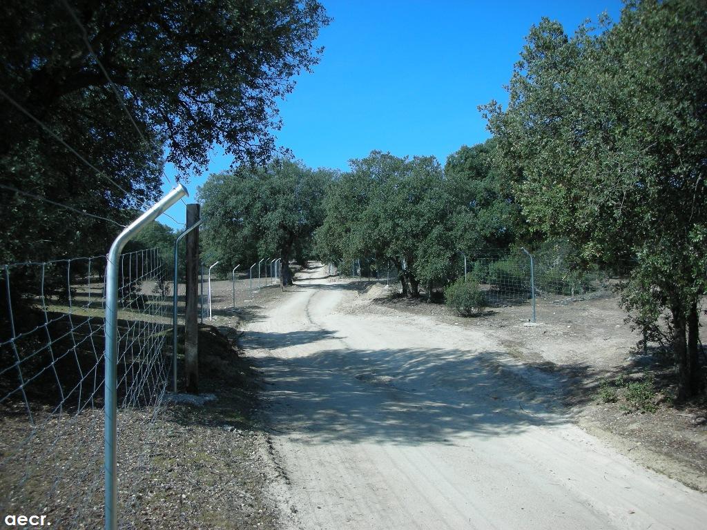Foto de Villanueva de la Cañada (Madrid), España
