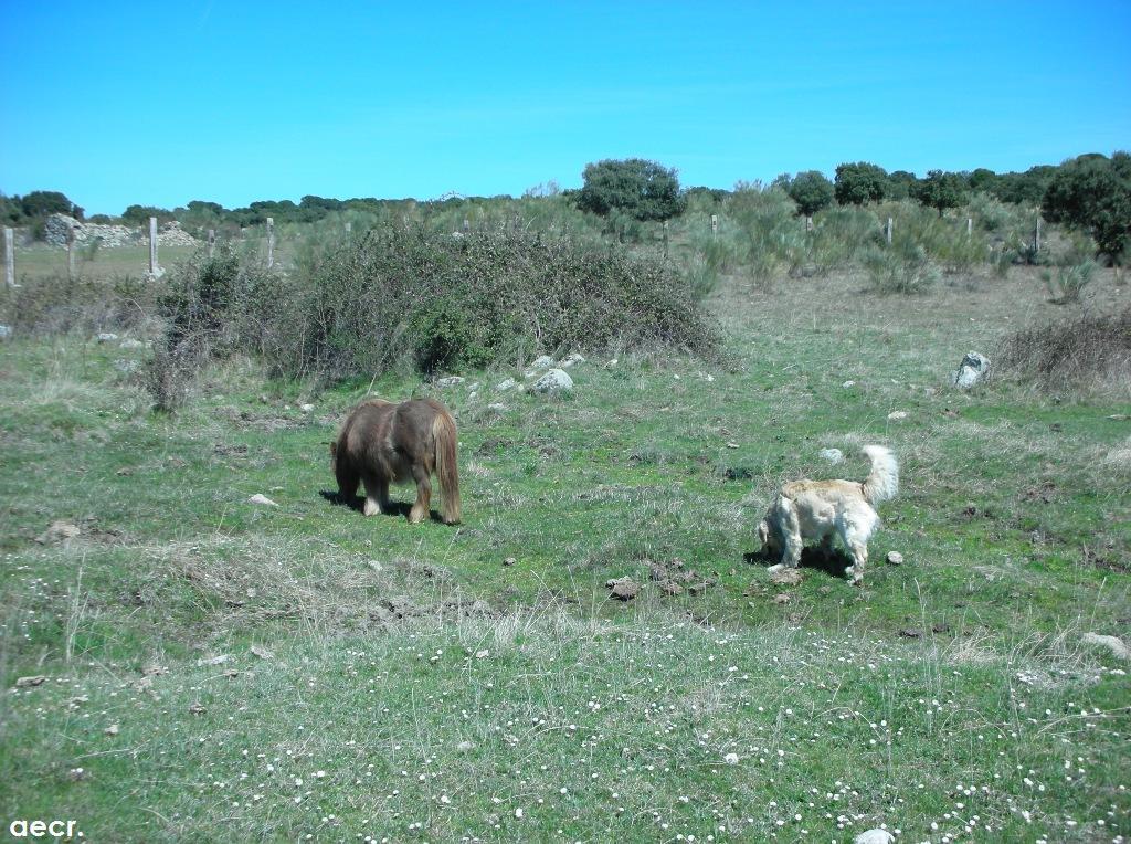 Foto de Valdemorillo (Madrid), España