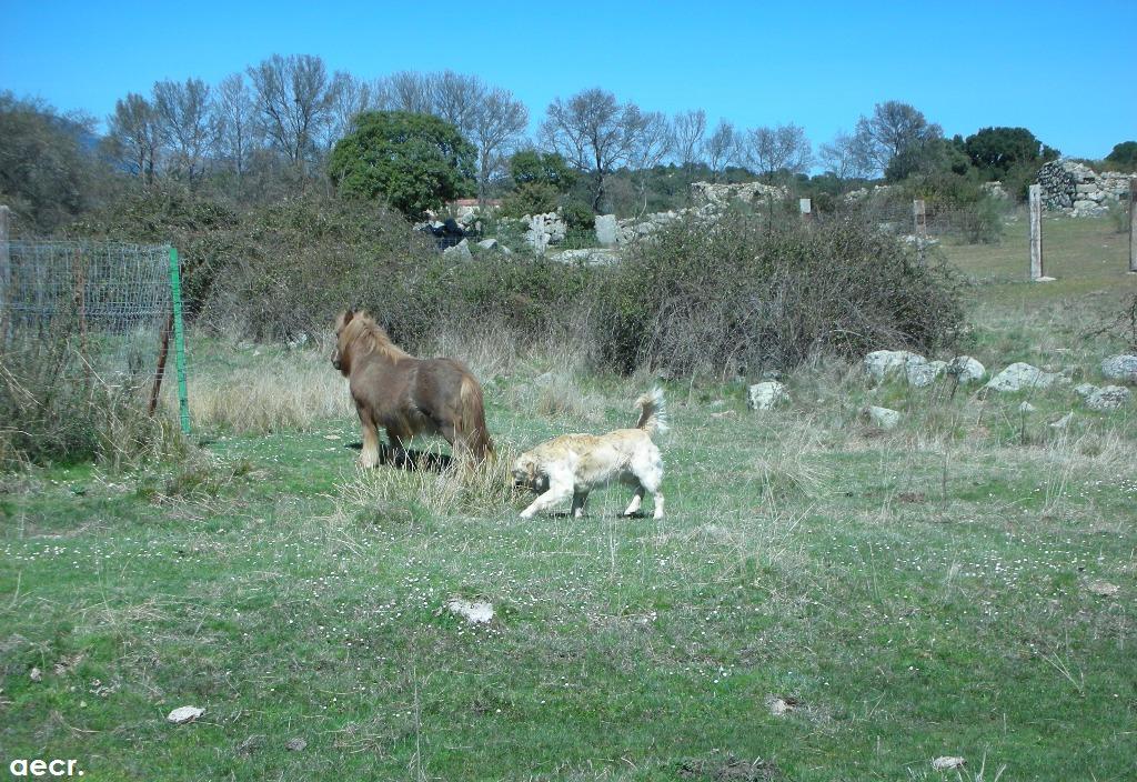 Foto de Valdemorillo (Madrid), España