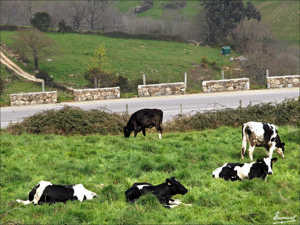 Foto de Santillana del Mar (Cantabria), España