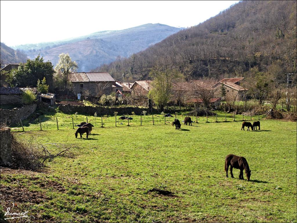 Foto de Barcena Mayor (Cantabria), España