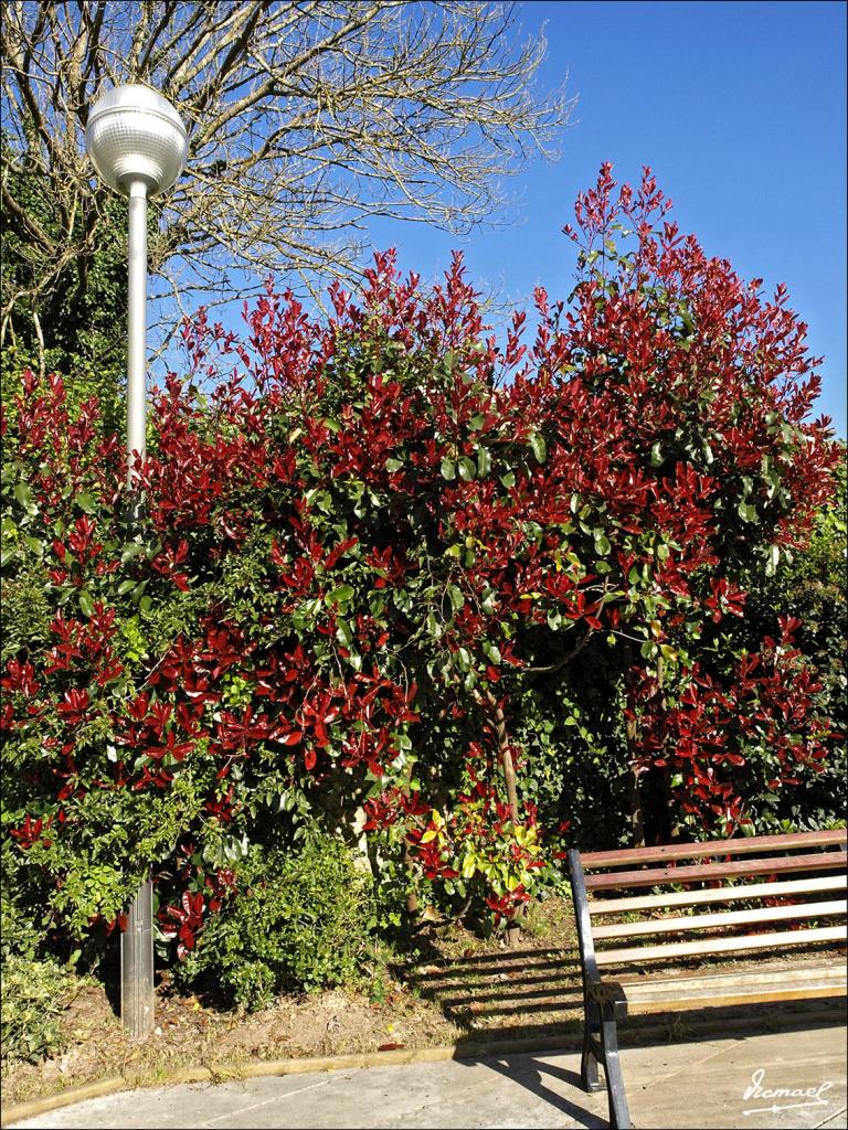Foto de Comillas (Cantabria), España