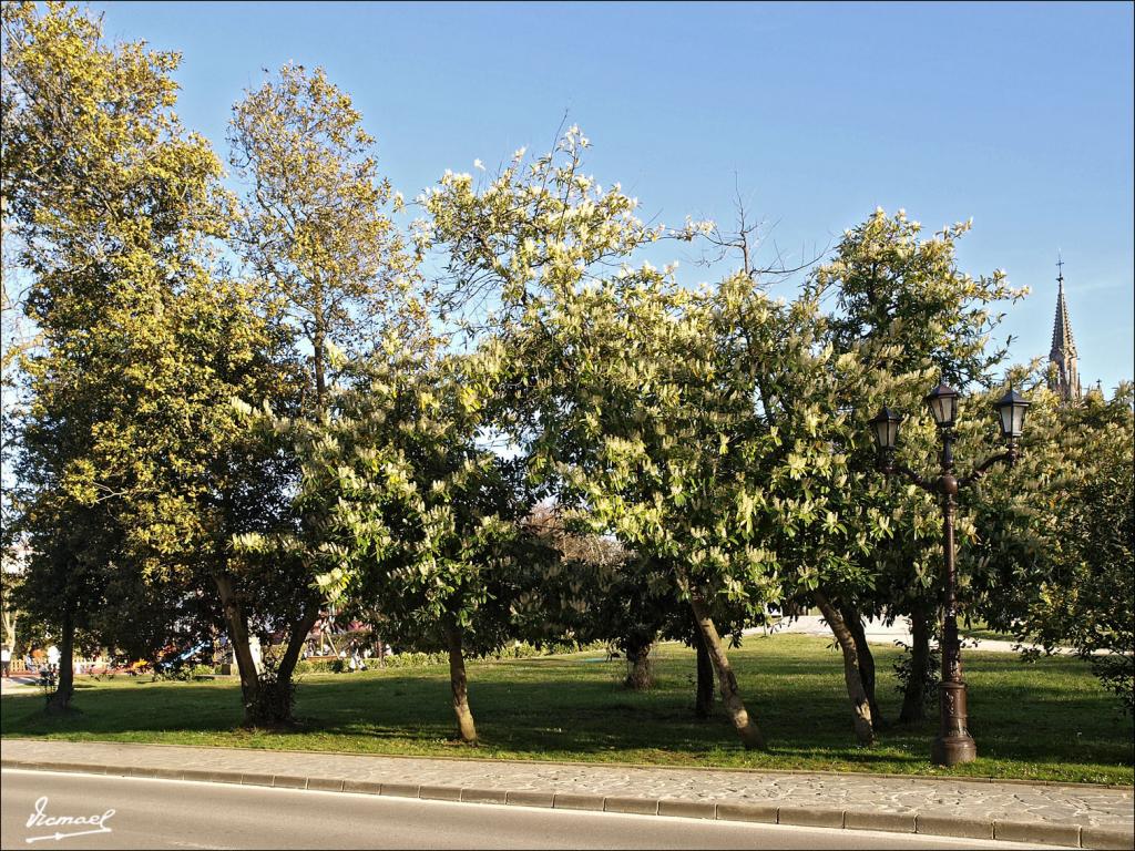 Foto de Comillas (Cantabria), España