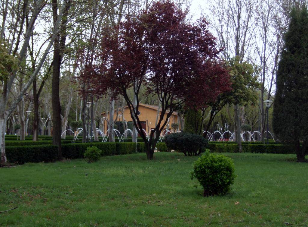 Foto de La Roda (Albacete), España