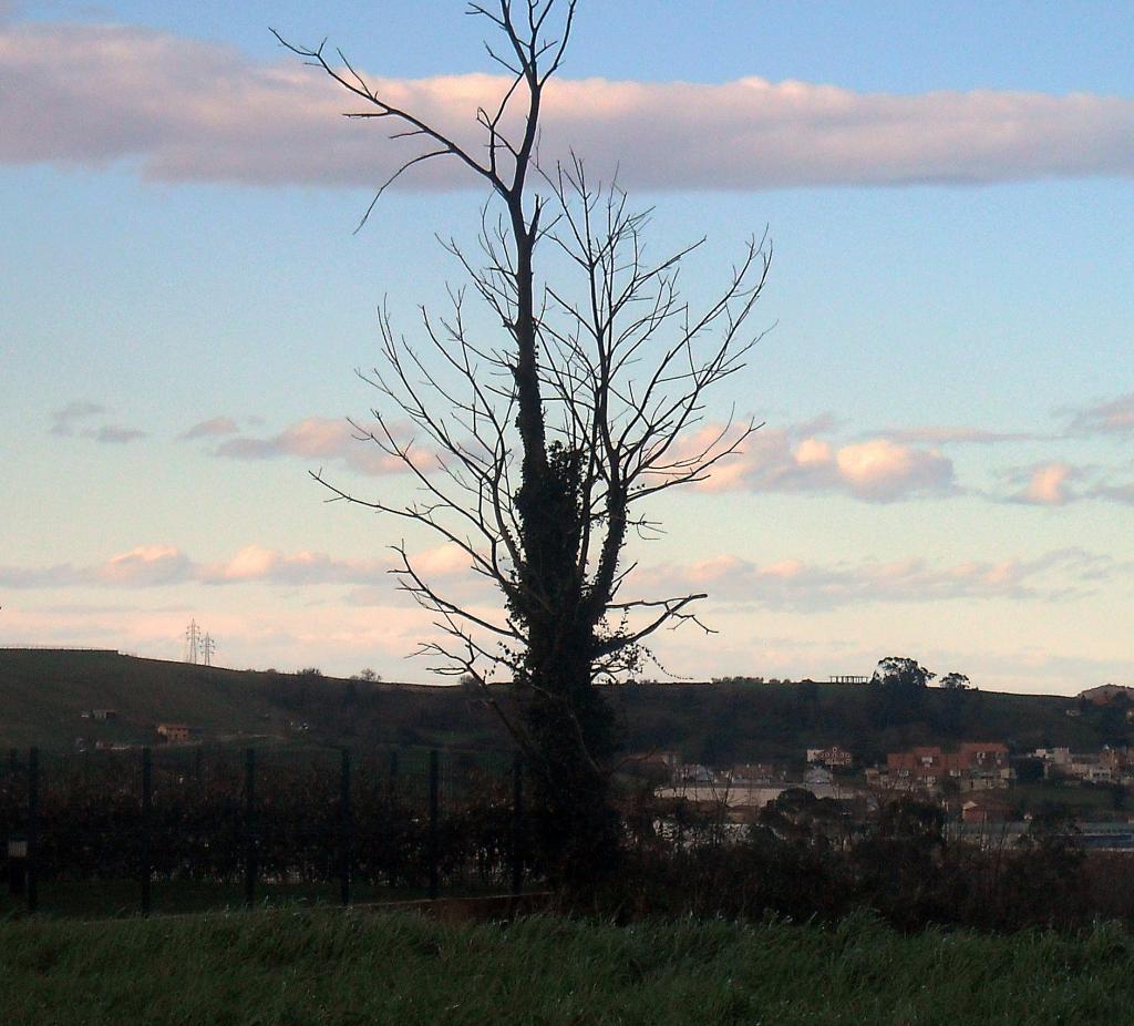 Foto de Liaño (Cantabria), España