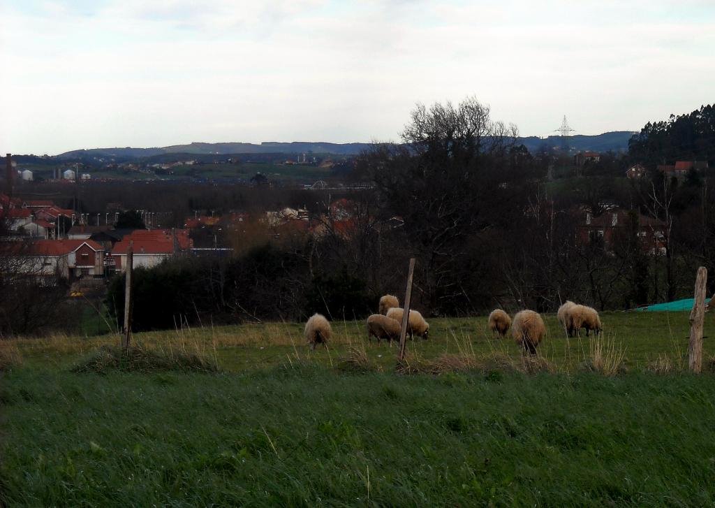 Foto de Liaño (Cantabria), España