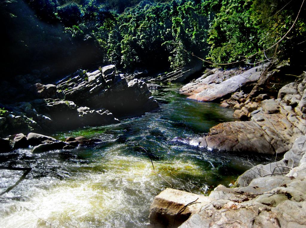 Foto de Ranomafana, Madagascar