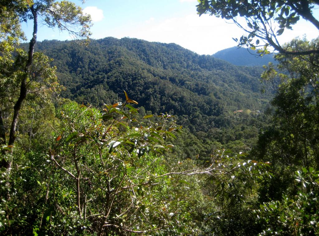 Foto de Ranomafana, Madagascar