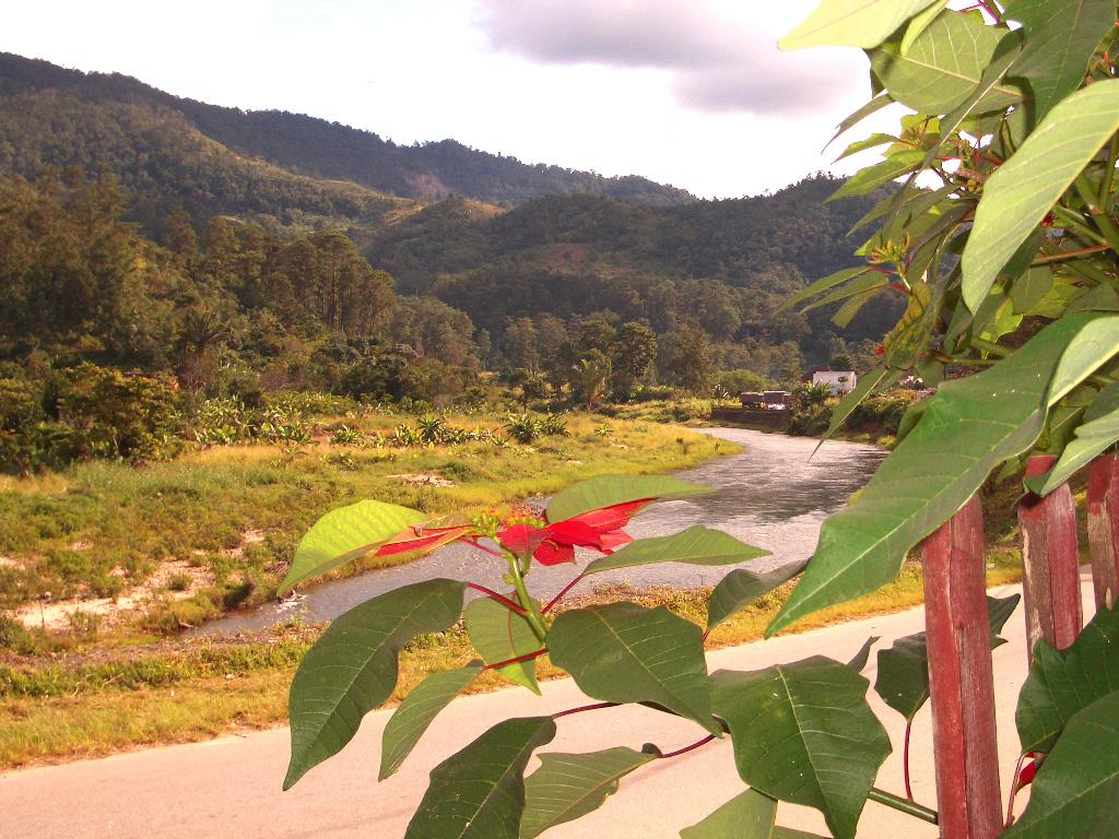 Foto de Ranomafana, Madagascar