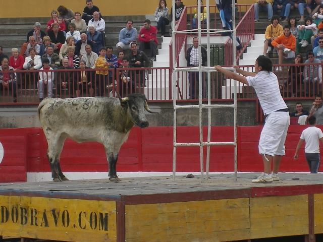 Foto de Pina de Ebro (Zaragoza), España