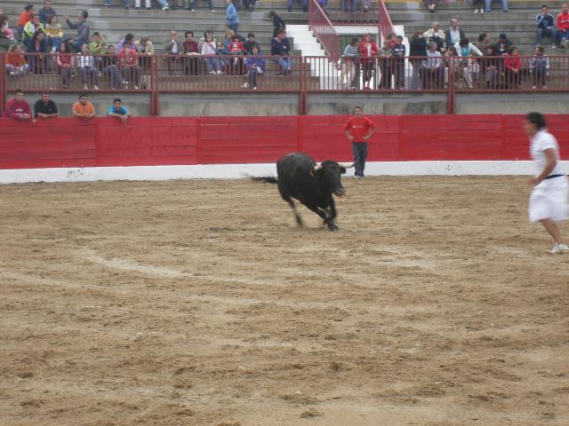 Foto de Pina de ebro (Zaragoza), España