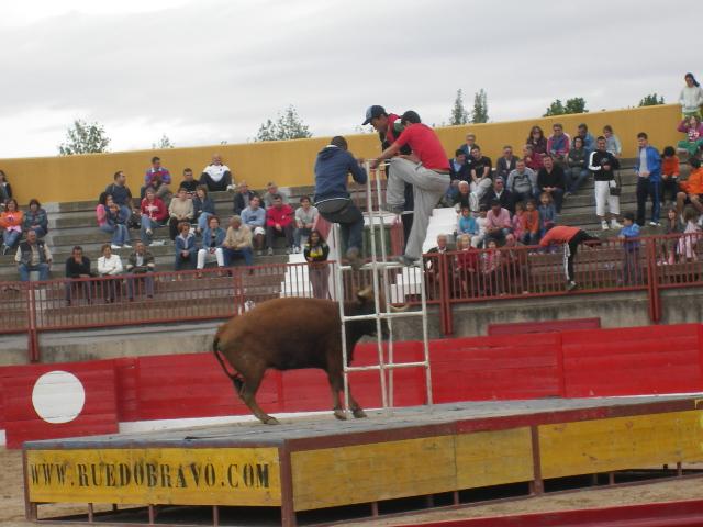 Foto de Pina de ebro (Zaragoza), España