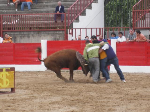 Foto de Pina de ebro (Zaragoza), España