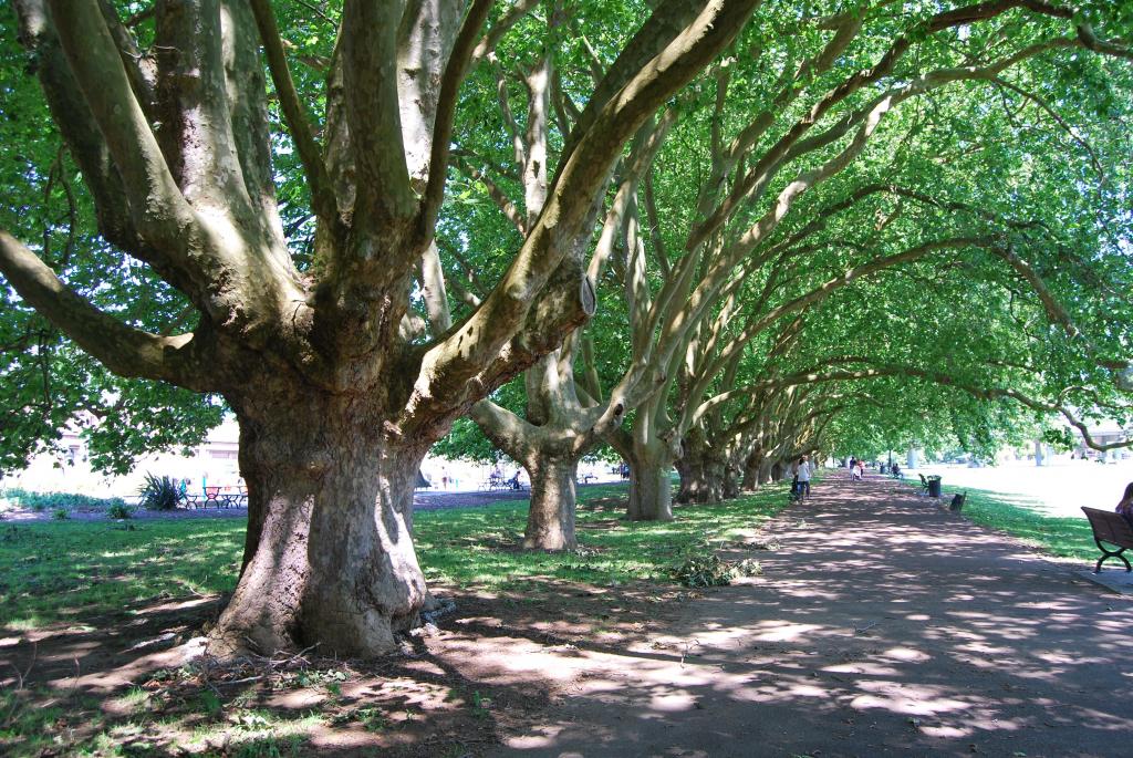 Foto de Auckland, Nueva Zelanda