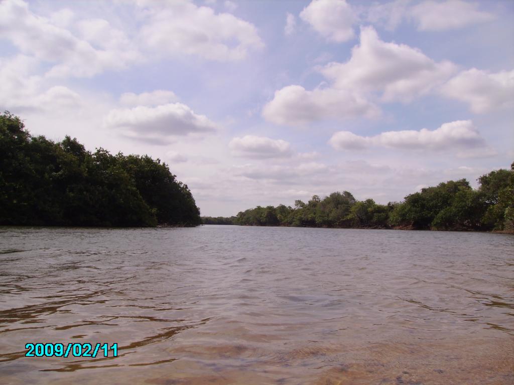 Foto de Aguaro (Guariquito), Venezuela