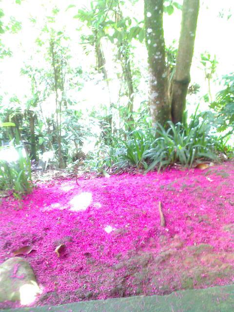 Foto de San Marcos (Tarrazu), Costa Rica