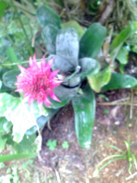 Foto de San Marcos (Tarrazu), Costa Rica