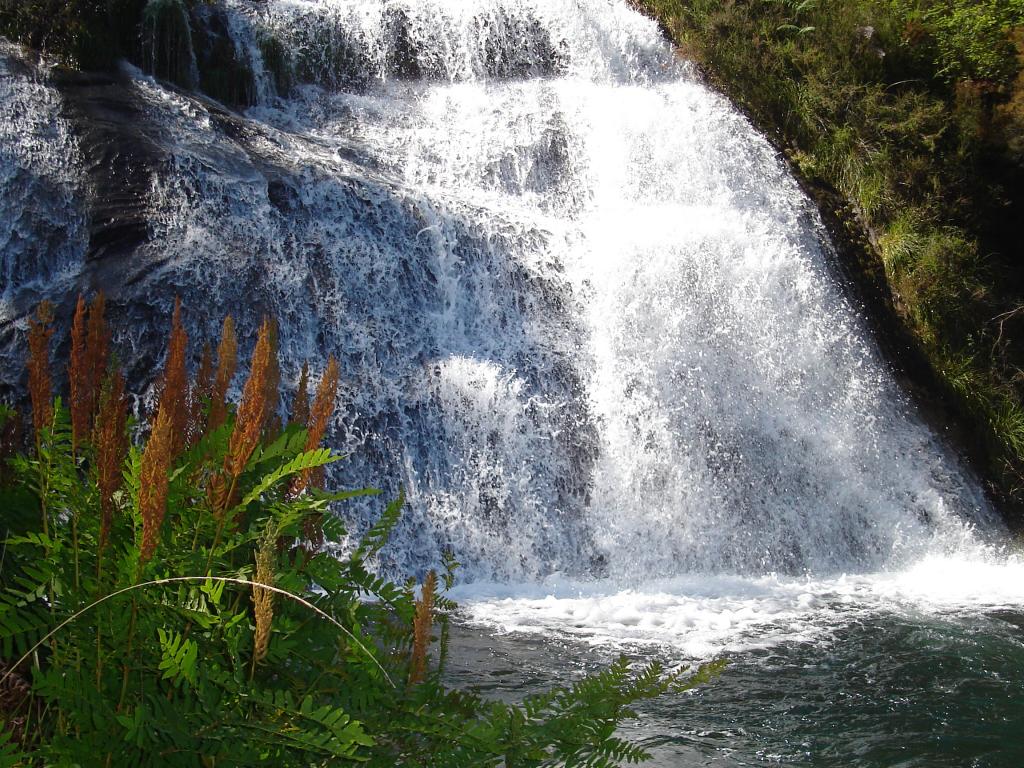 Foto de O Rosal (Pontevedra), España