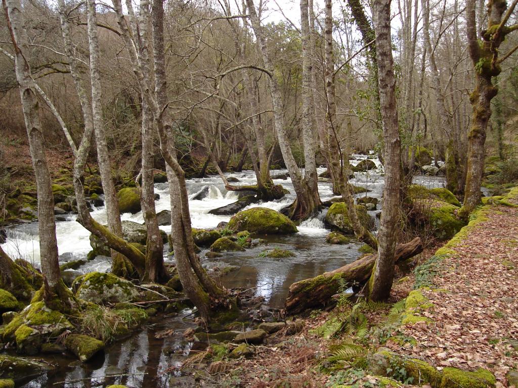 Foto de Pazos de Arenteiro (Ourense), España