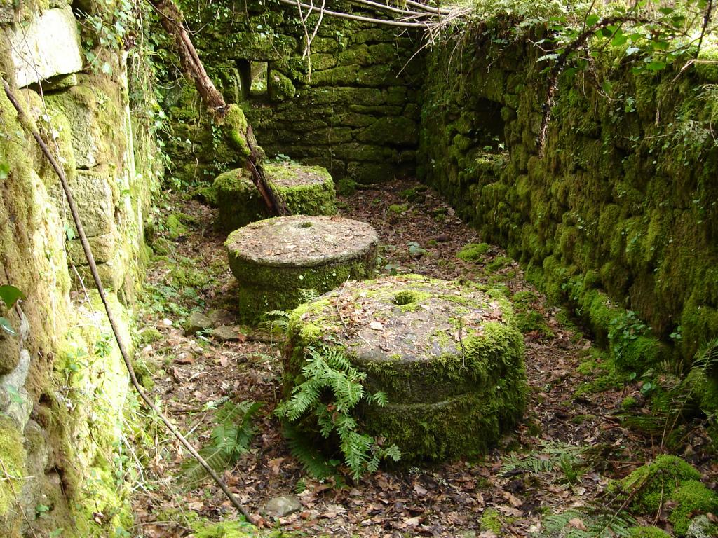 Foto de Pazos de Arenteiro (Ourense), España