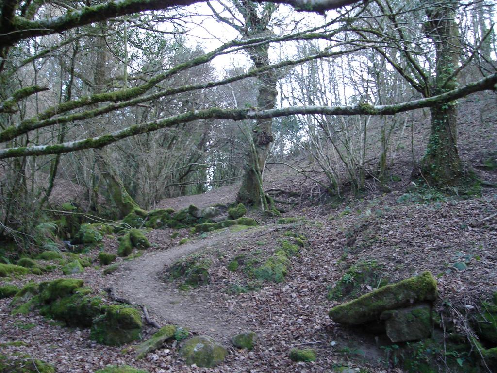 Foto de A Lama (Pontevedra), España