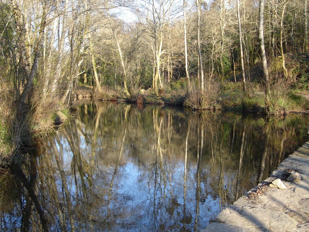 Foto de Barro (Pontevedra), España