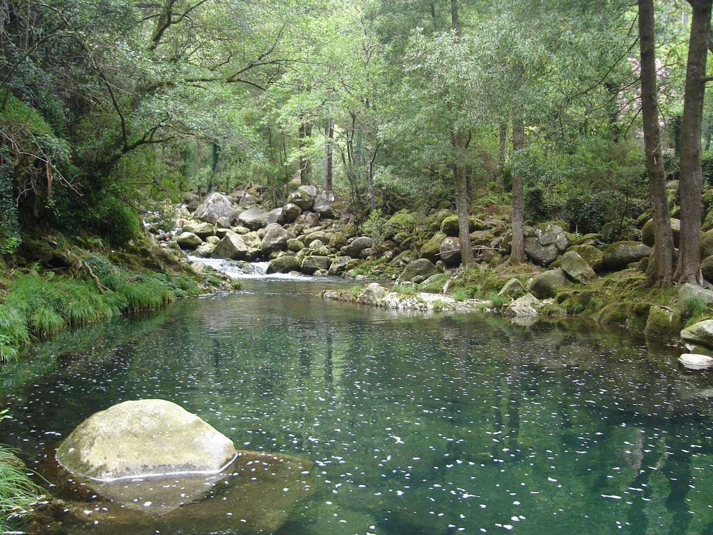 Foto de Pobra do Caramiñal (A Coruña), España